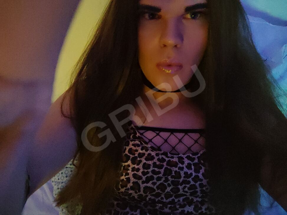 Escort and Intimate Massage, Riga. KellyTS: 25592989 1