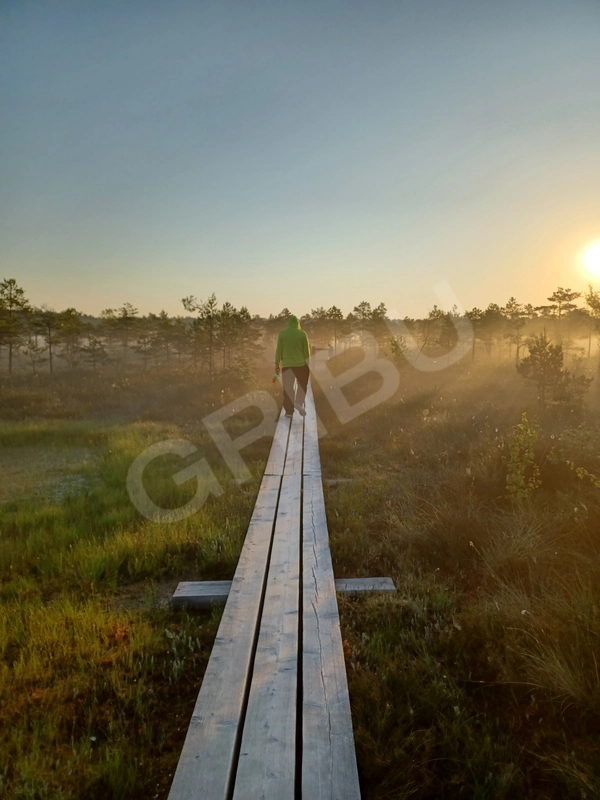 Фото для знакомства мужчины Pakreisi 3418568